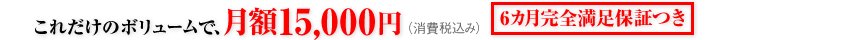 これだけのボリュームで、月額15,000円（消費税込）6カ月完全満足保証つき